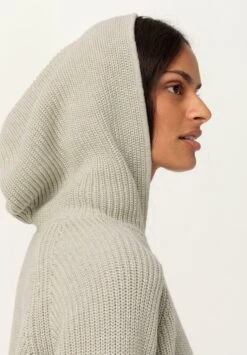 Kapuzenpullover - Naturgrau -Hessnatur 070b67baf698488fbfdf42bff80ed5c8