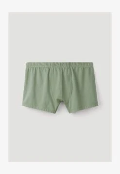 PURELUX IM 2ER SET - Panties - Salbei -Hessnatur 5738000d9265476889a942ce65372941